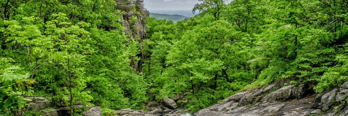 热门51暗黑每日大赛最新爆料官方版下载-51暗黑每日大赛最新爆料正版v1.3.5-视频动漫网站入口大全在线免费推荐